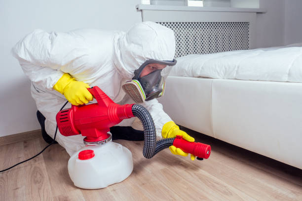 Best Mosquito Control Services  in Occidental, CA