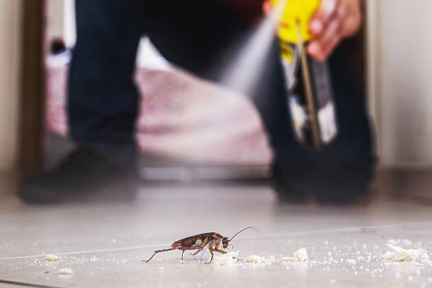 Best Best Pest Control Companies  in Occidental, CA